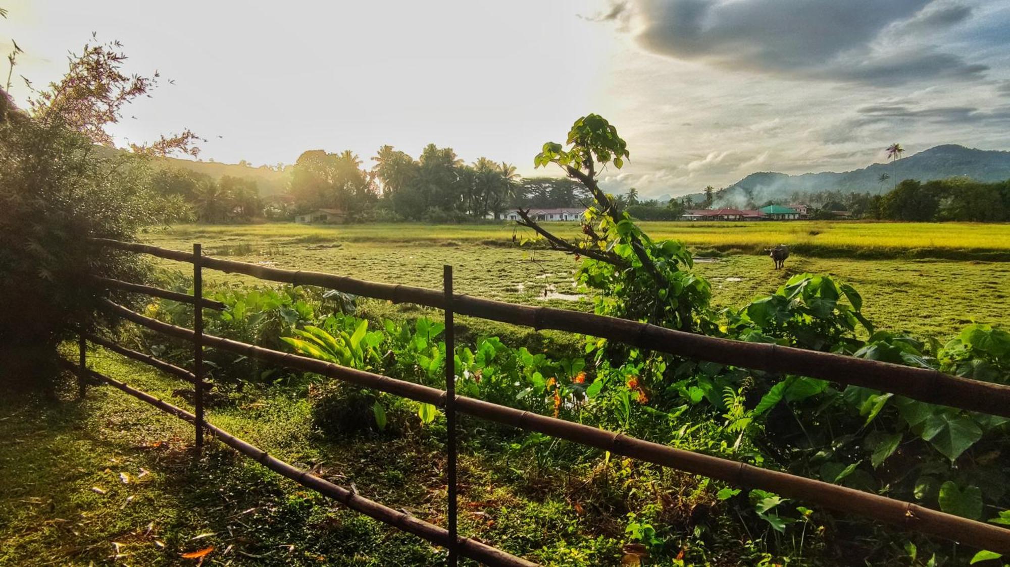 Kampung Tok Lembut Vacation Home Pantai Cenang  Exterior foto
